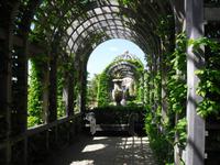 Arundel Park and Garden