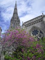 Salisbury Cathedral