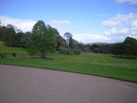 Killerton Garden