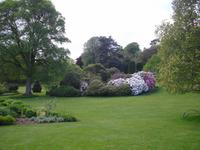Killerton Garden