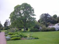 Killerton Garden