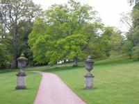 Killerton Garden
