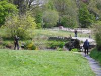 Dartmoor - Postbridge
