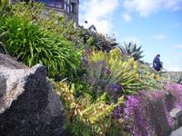 Minack Theater in Cornwall