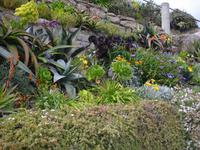 Minack Theater in Cornwall