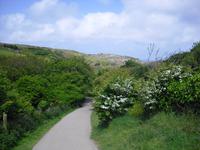 Weg nach Tintagel