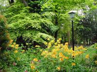 Penmorvah Manor Hotel in Cornwall