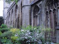 Ruinen der Tempelkirche in Bristol