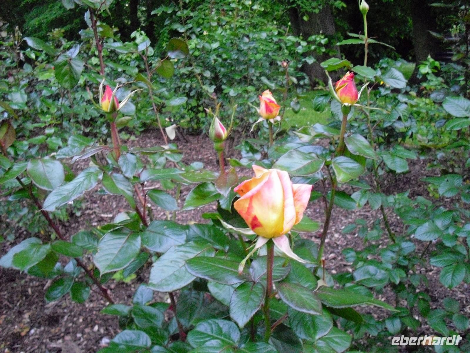 Park an der Tempelkirche in Bristol