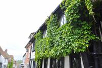 Rundgang im mittelalterlichen Rye