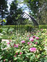 Arundel Castle and Grounds
