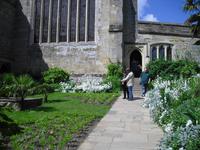 Arundel Castle and Grounds