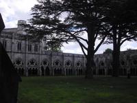 Salisbury Cathedral - Kreuzgang