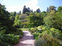 Killerton Garden