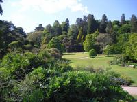 Killerton Garden