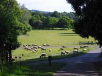 `Gruppenfoto` in Killerton Garden
