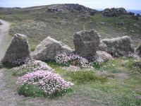 Wanderweg bei Land`s End