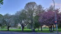 Abendspaziergang in Perth