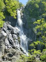 Aber Twin Falls