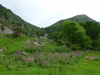 Aber Twin Falls