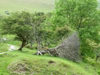Aber Twin Falls