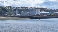 Aberdeen: unerwartete Definsichtung