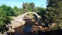 Alte Brücke am Wege