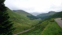 Am Argyll Forrest