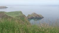 An der Rope Bridge