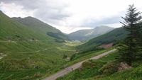 Argyll Forrest