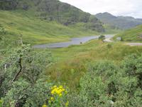 Argyll and Bute