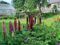 Balmoral Gardens