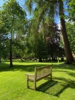 Bank im Park von...