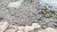 Basaltsäulen der Brücke der Riesen