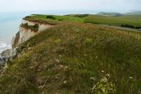 Beachy Head