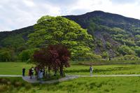 Beddgelert