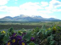 Ben Nevis