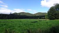 Berge bei Dunkeld