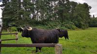 Blair Atholl