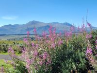 Blick auf Ben Nevis