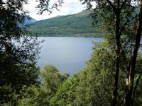 Blick auf den See