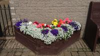Blumen in Jedburgh