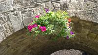 Blumenarrangements auf Stirling Castle