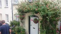 Blumenschmuck in Clovelly