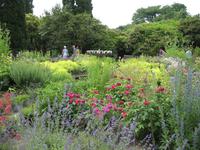 Bodnant Garden