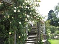 Bodnant Garden
