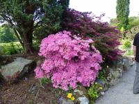 Bodnant Garden