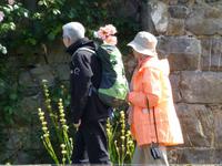 Bodnant Garden
