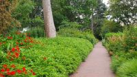 Botanischer Garten Edinburgh 20230804 103647