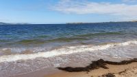 Chanonry Point im Moray Firth 20230801 130752